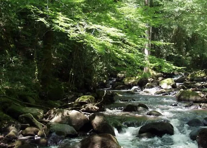 Nocleg ze śniadaniem Domisiladore