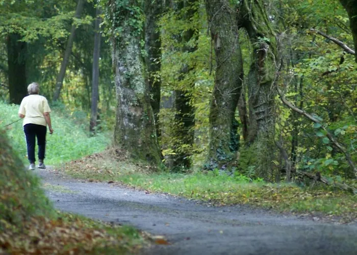 Domisiladore 3* Latouille-Lentillac