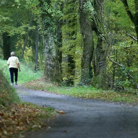 Domisiladore Bed & Breakfast Latouille-Lentillac