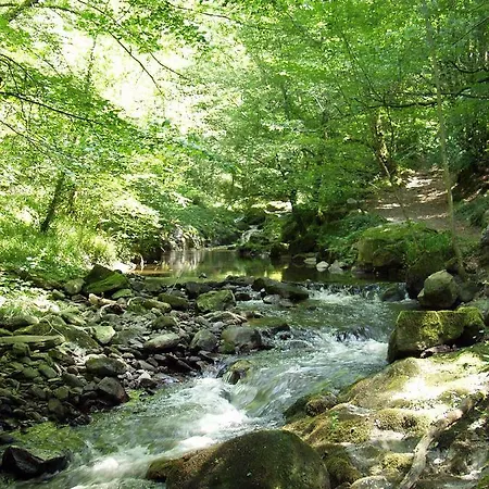 Domisiladore Latouille-Lentillac