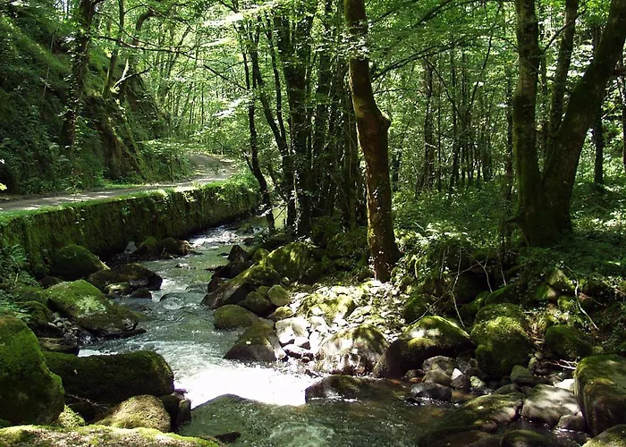 Domisiladore B&B Latouille-Lentillac